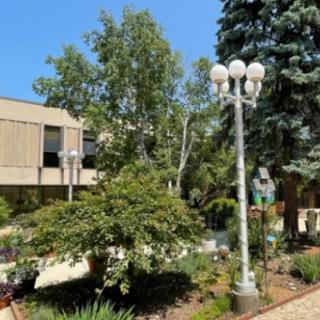 A landscaped area with trees and a lamp post outside a building.