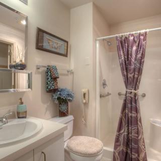 A cozy bathroom with a shower curtain, sink, and decorative elements.