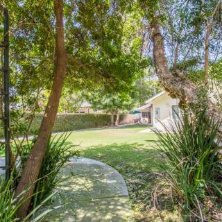 A peaceful backyard garden with lush green trees and grass.