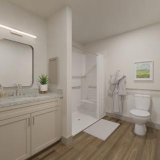 A modern bathroom featuring a walk-in shower, toilet, and vanity with a large mirror.
