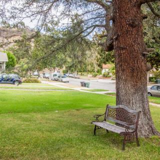 A peaceful neighborhood park with a bench under a large tree.