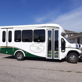 A white and green bus parked on a sunny day.