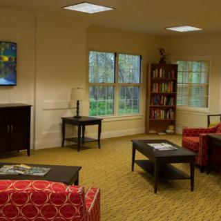 A cozy living room with sofas, bookshelves, and a view through the windows.