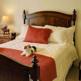 A cozy bedroom with a neatly made bed, featuring white and orange bedding, and a bedside lamp for ambient lighting.