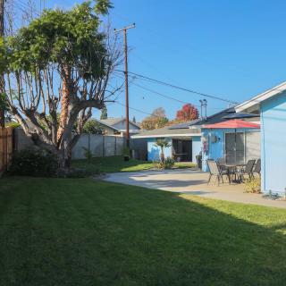 A backyard with a lawn, tree, patio area, and residential house on a sunny day.