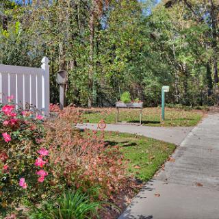 A serene pathway in a park, bordered by vibrant flowers and lush greenery.