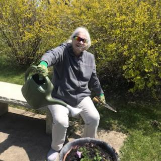 An individual enjoys gardening on a sunny day, tending to their plants with a watering can.