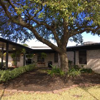 A charming house surrounded by lush greenery and a large tree.