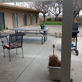 A quiet outdoor patio area with furniture, potted plants, and a barbecue grill.