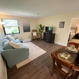 A cozy living and dining area with modern decor, featuring a sofa, chair, television, and a small dining table on wood flooring.