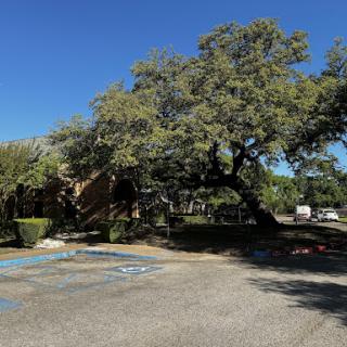 A spacious parking lot shaded by a large tree under a clear blue sky.