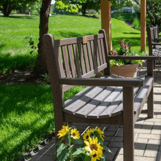 A wooden bench on a sunny day, surrounded by lush greenery and blooming sunflowers along a paved pathway.