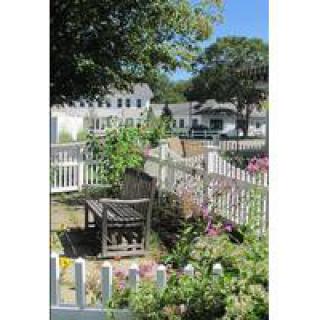 A sunny garden with a wooden bench, surrounded by flowers and a white picket fence.