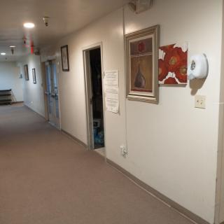A hallway with carpeted floors, featuring a door, paintings on the walls, and a wall-mounted dispenser.