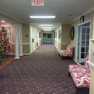 A decorated hallway with chairs and a Christmas tree.