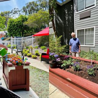 People tending to plants in a garden with raised beds on a sunny day.