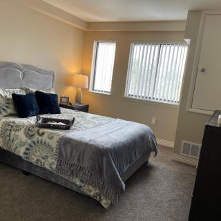 A cozy bedroom with a neatly made bed, bedside lamp, and large windows letting in natural light.