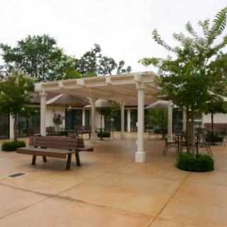 A tranquil outdoor seating area with a pergola, benches, and surrounding trees.