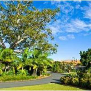 A scenic view of a lush landscape with tall trees under a clear blue sky.