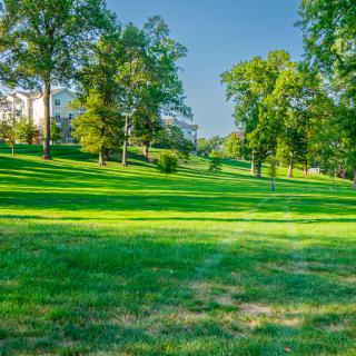 A lush green park area with trees and open grassy spaces.