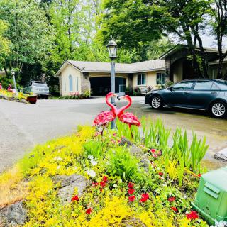 A suburban house with a garden featuring pink flamingo lawn ornaments and vibrant flowers.