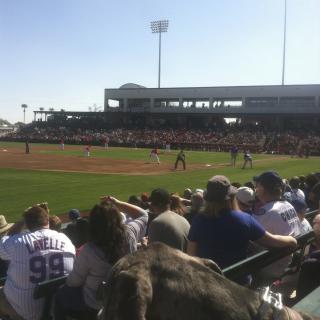 A lively baseball game with a cheering crowd in a sunny stadium.