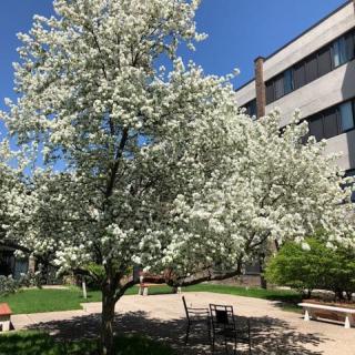 Chapel View Apartments