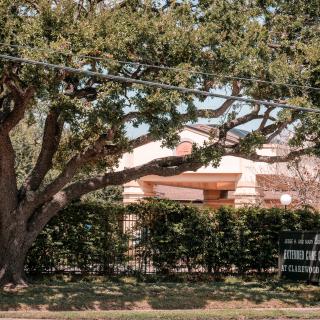 A house partially obscured by a large tree and hedge in a residential area.