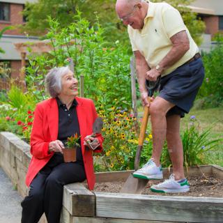 An elderly couple enjoys gardening together on a sunny day.