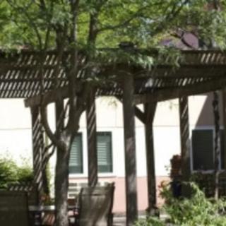 A peaceful garden setting featuring a pergola, trees, and outdoor furniture under dappled sunlight.