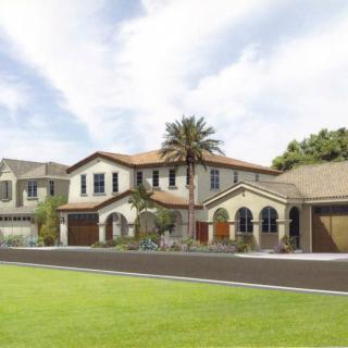 A row of suburban houses with well-maintained lawns and palm trees.