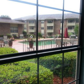 View of a pool and apartment complex through a window.