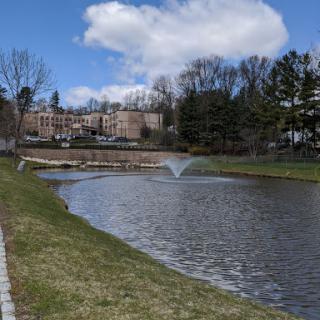 A serene park scene featuring a tranquil pond with a fountain, surrounded by lush greenery and clouds in the sky.