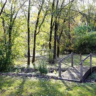 A serene forest scene with sunlight filtering through the trees and a small wooden bridge over a gentle stream.