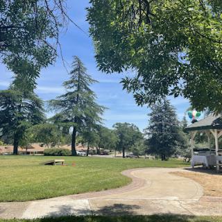 A serene park scene featuring lush greenery and a winding pathway.