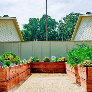 A well-maintained vegetable garden with raised beds in a backyard setting.