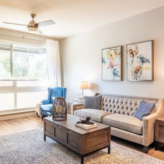 A cozy living room with a sofa, armchair, and decorative elements.