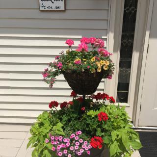 A beautiful display of potted flowers in a tiered arrangement by the entrance.