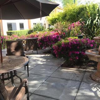 A sunny patio with outdoor seating surrounded by colorful flowers and greenery.