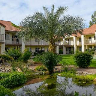 A serene garden view featuring palm trees and a tranquil water feature surrounded by residential buildings.