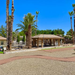A sunny day at a house surrounded by palm trees and an open yard.