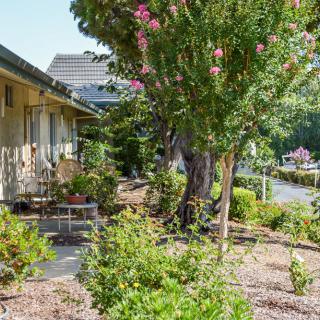 A sunny view of a well-maintained garden with trees and shrubs alongside a house.