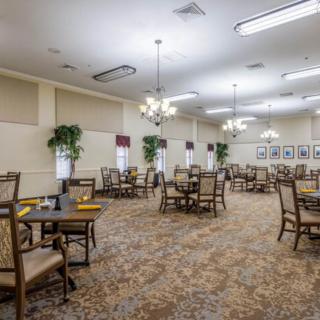 A spacious dining area with multiple tables and chairs, carpeted flooring, and decorative plants.