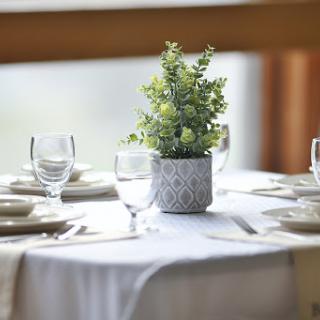 A beautifully arranged dining table featuring a small potted plant as a centerpiece.