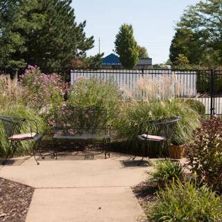 A tranquil garden area featuring benches surrounded by lush plants.