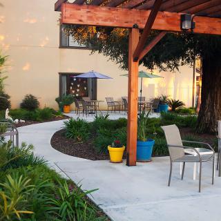 A serene outdoor patio area with seating, surrounded by lush plants and colorful pots.