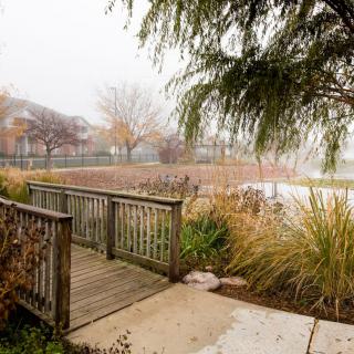 A foggy autumn morning by the lake with a wooden bridge and colorful trees.