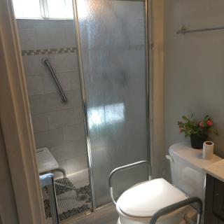 A small bathroom with an accessible shower and toilet, featuring a grab bar and a potted plant on the tank.