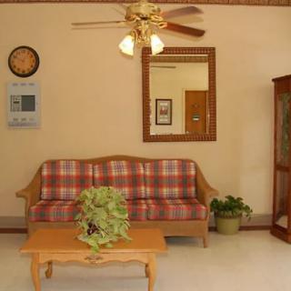 A cozy living room with a checkered sofa, wooden coffee table, and decorative plants.