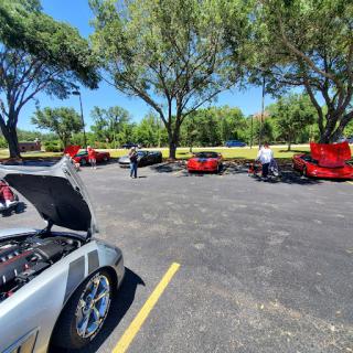 A lively car meet showcasing a variety of vehicles under the shade of trees.